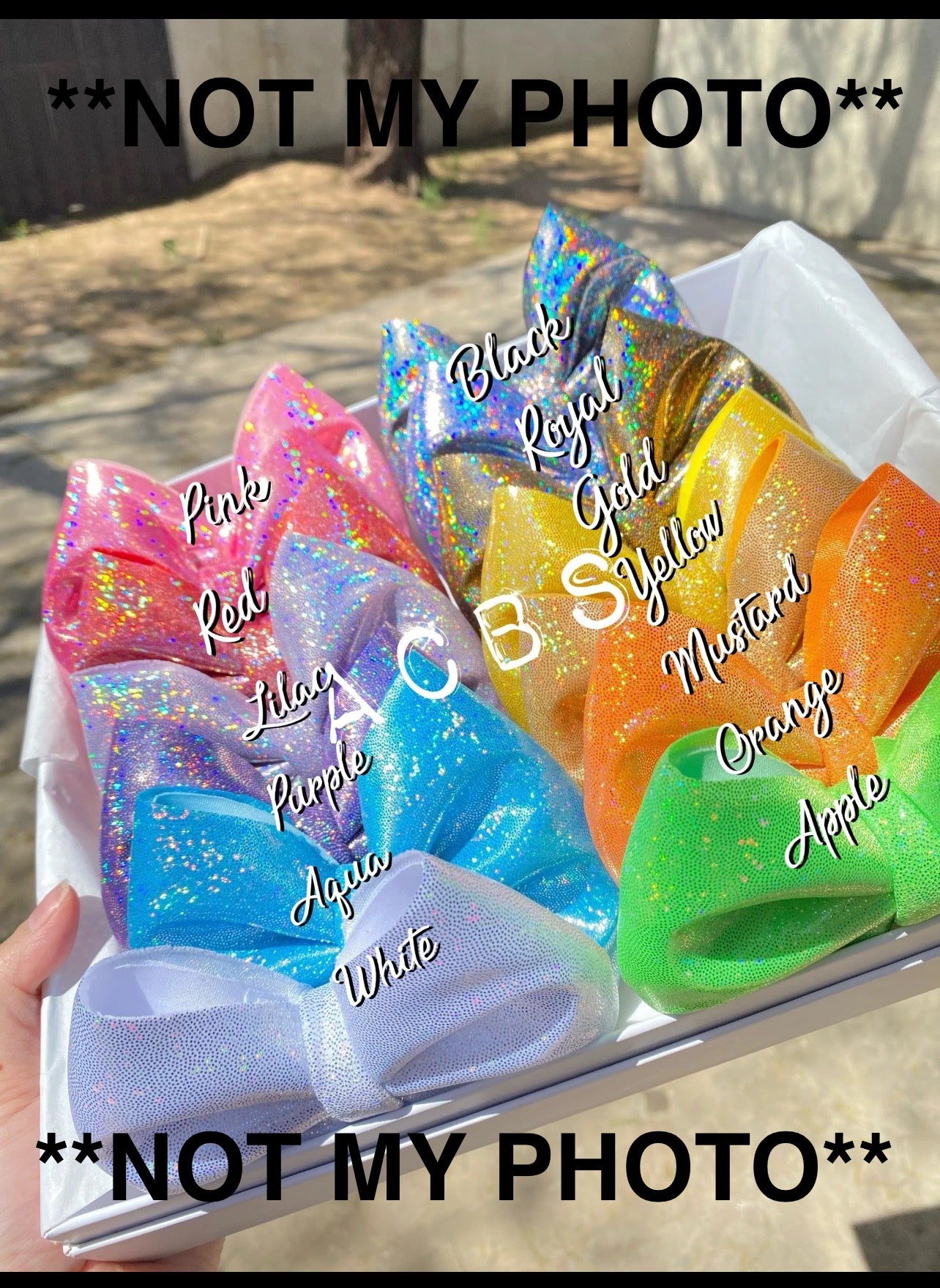 Preorder Holo Bow Set of 13